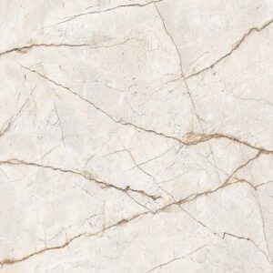RADICE 60x120