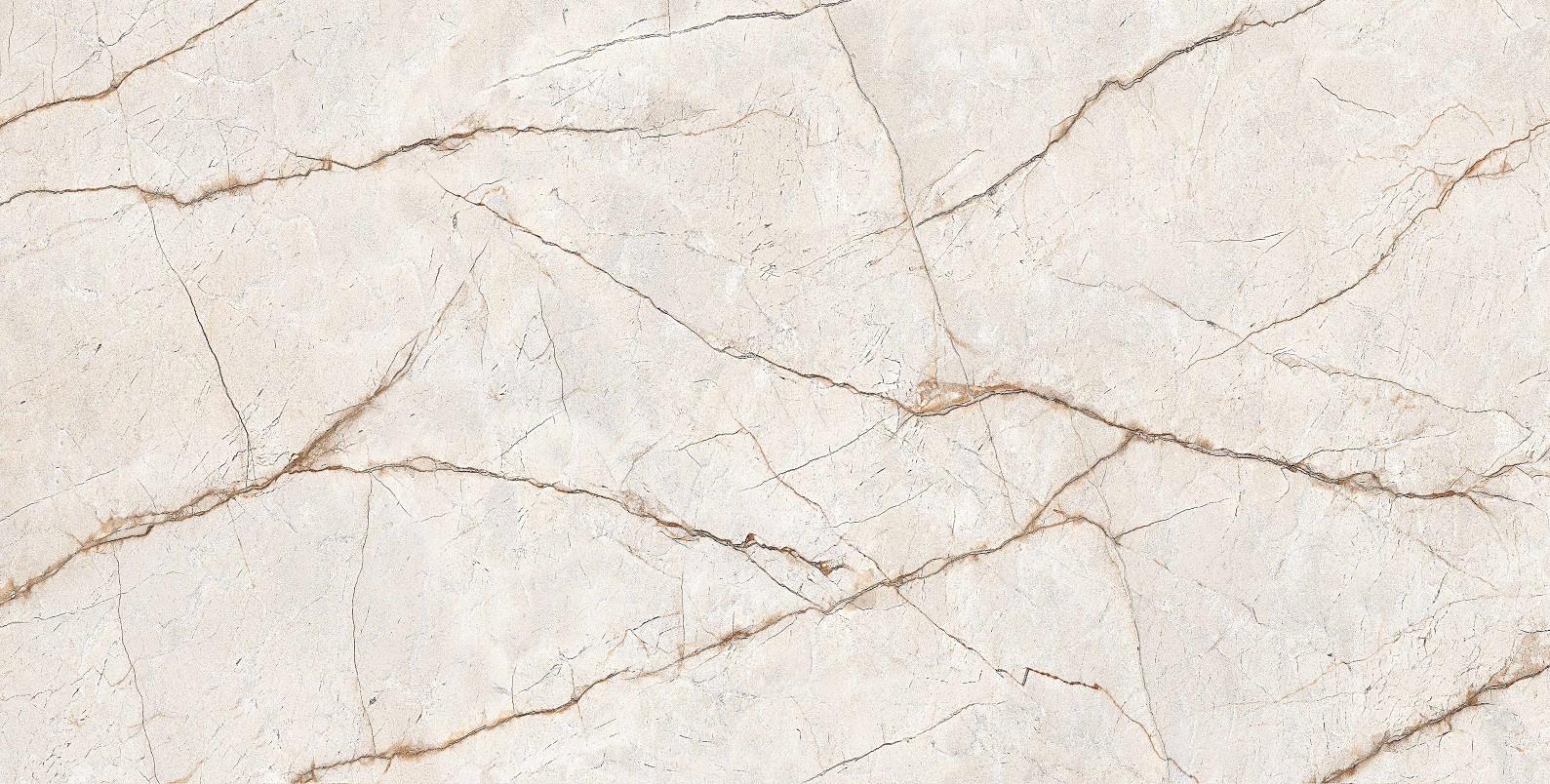 RADICE 60x120