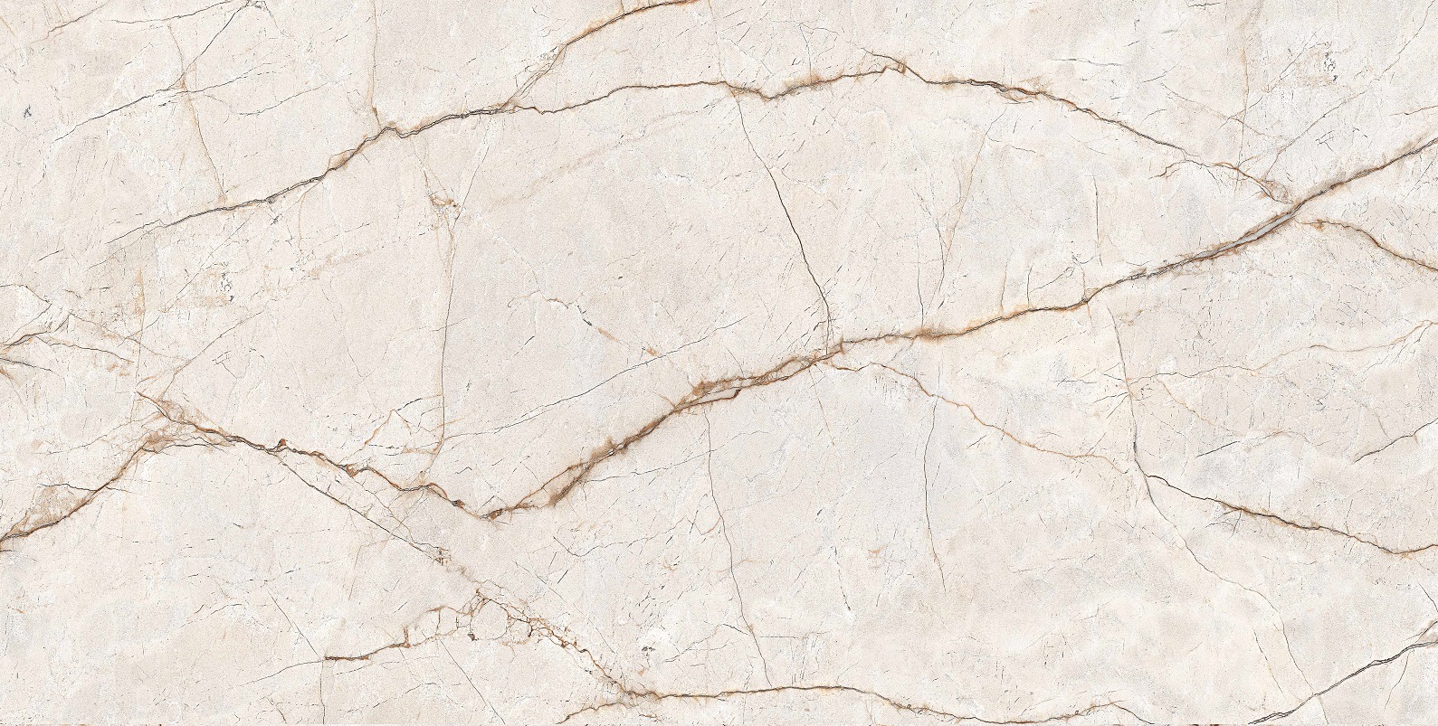 RADICE 60x120 - Slika 6