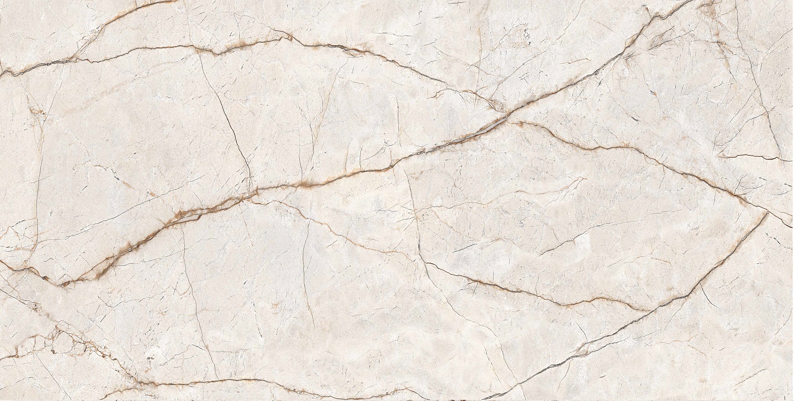 RADICE 60x120 - Slika 5