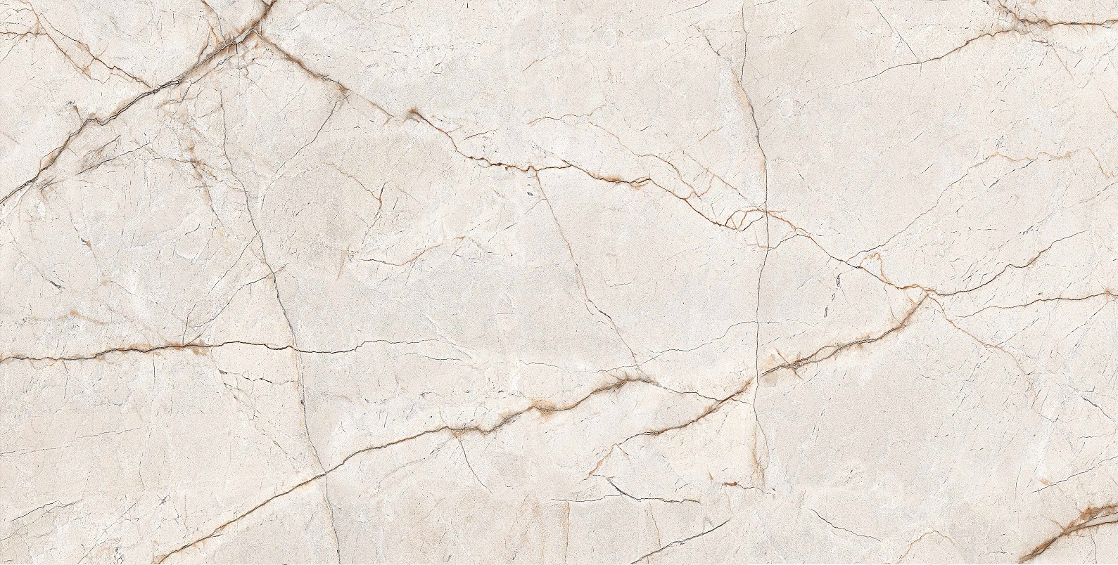 RADICE 60x120 - Slika 4