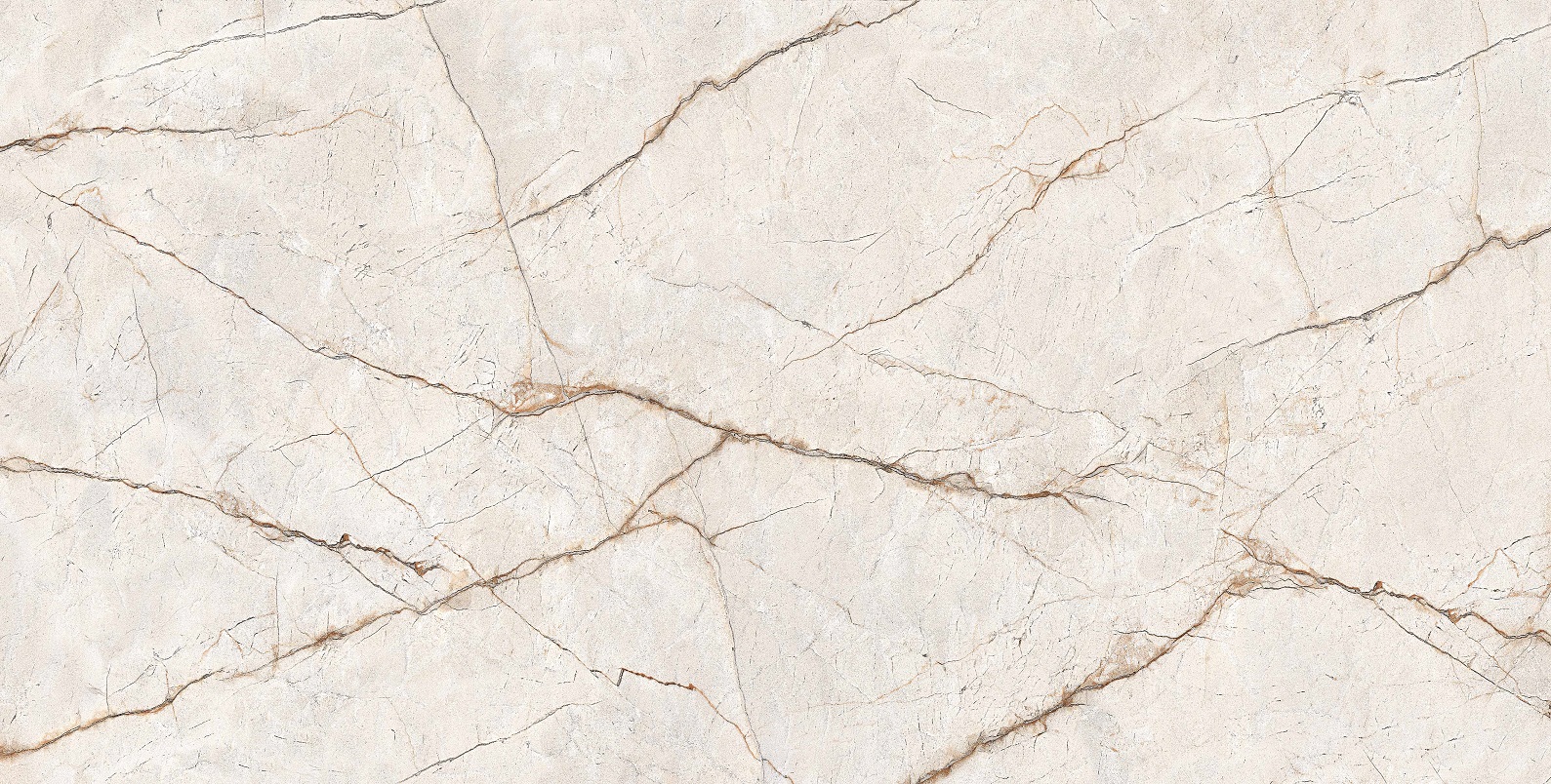RADICE 60x120 - Slika 3