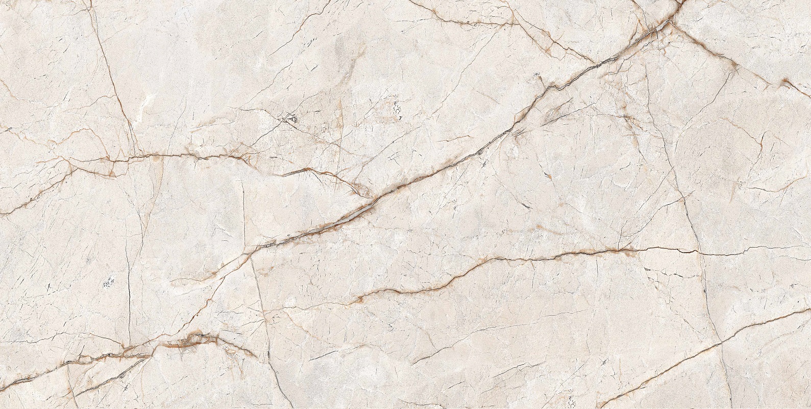 RADICE 60x120 - Slika 2
