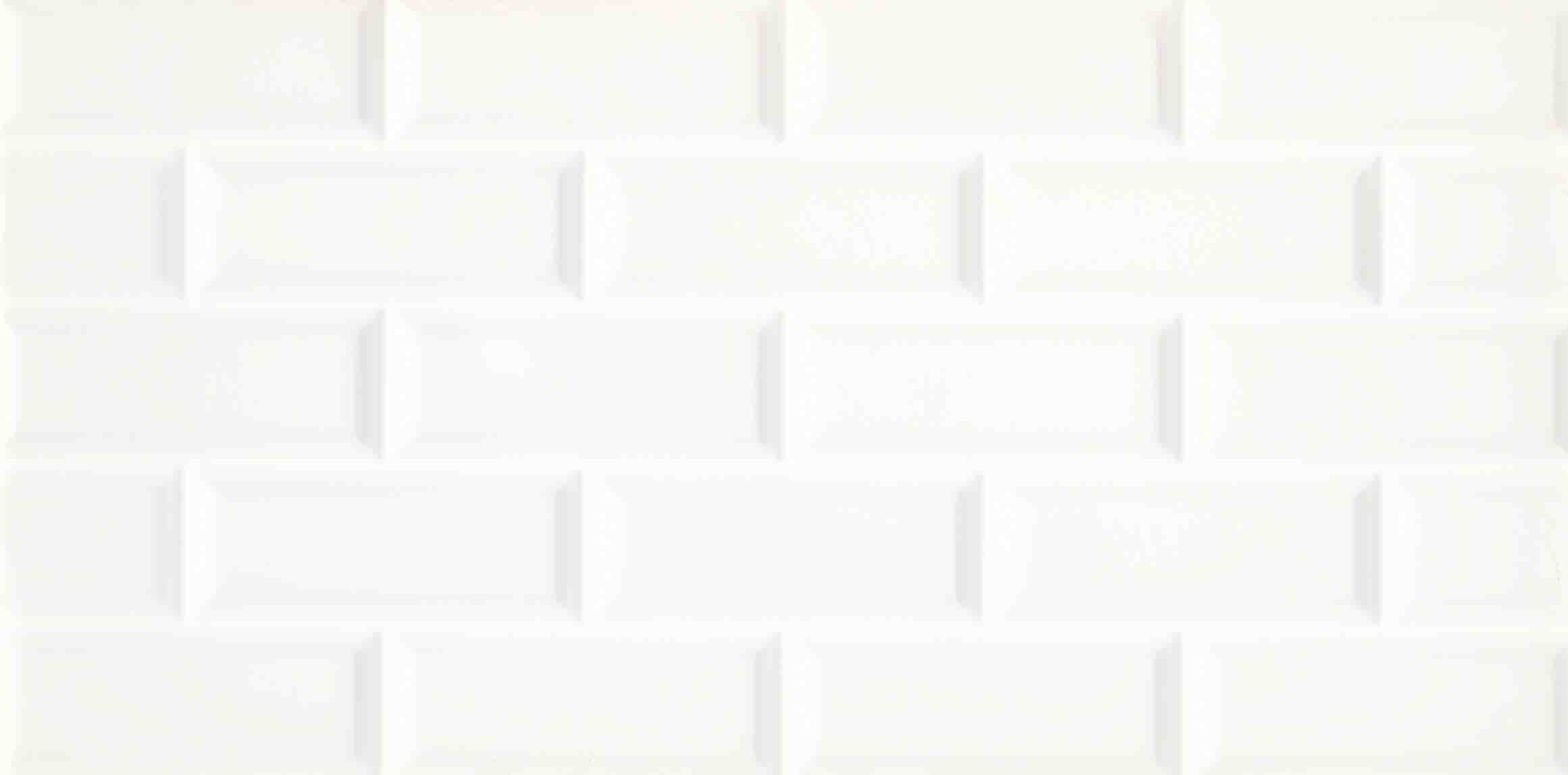 OLIVIA WHITE 30x60